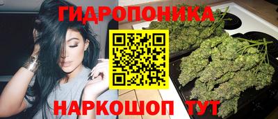 соль ск Свободный