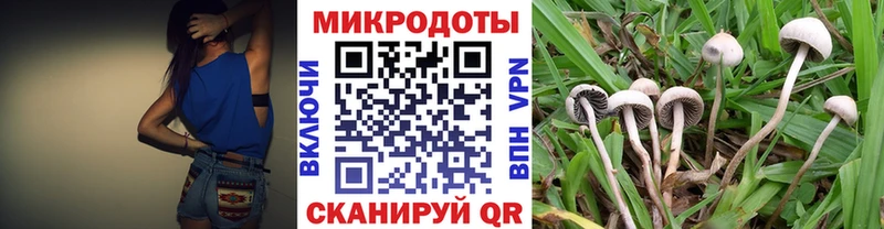 Псилоцибиновые грибы мухоморы  Новозыбков 