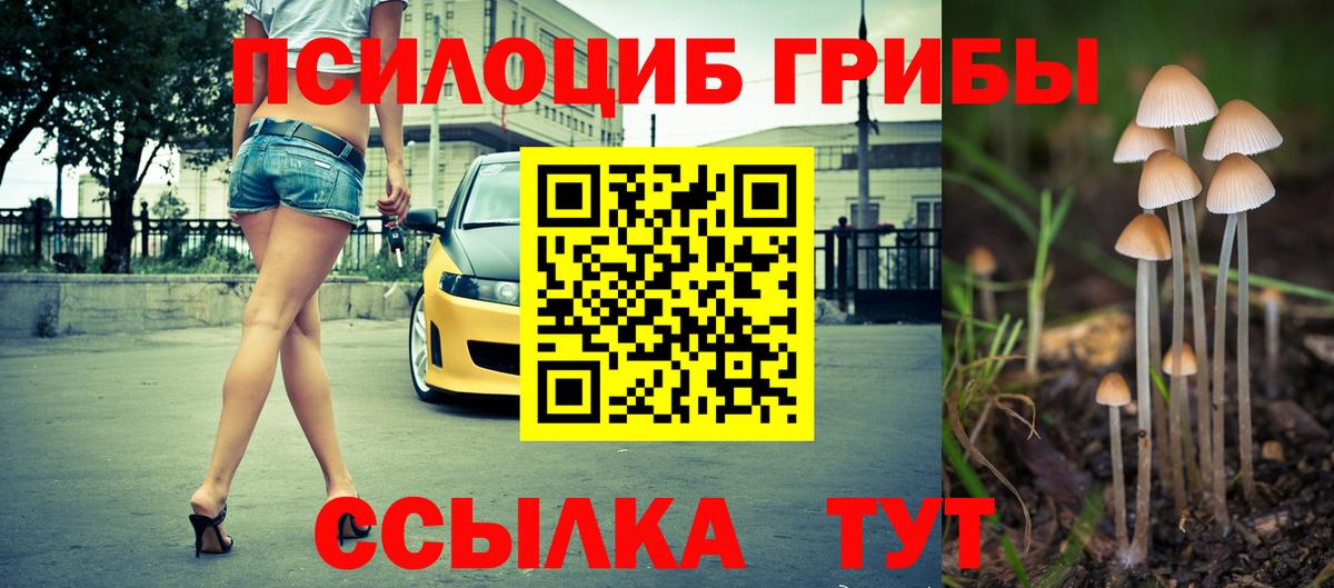 Псилоцибиновые грибы ЛСД  Вход с VPN  Новозыбков 