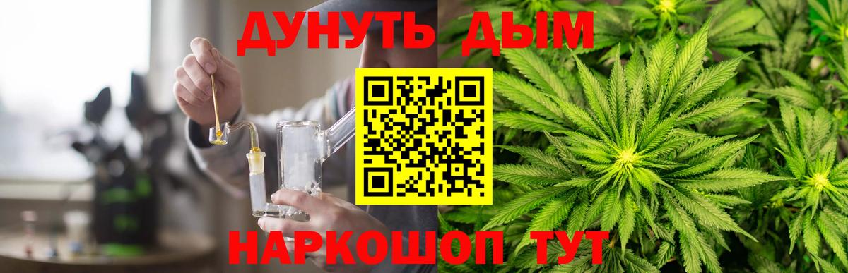 Конопля планчик  Шишки марихуана MAZAR  Новозыбков  Вход с VPN  Бошки Шишки MAZAR  Шишки марихуана индика 