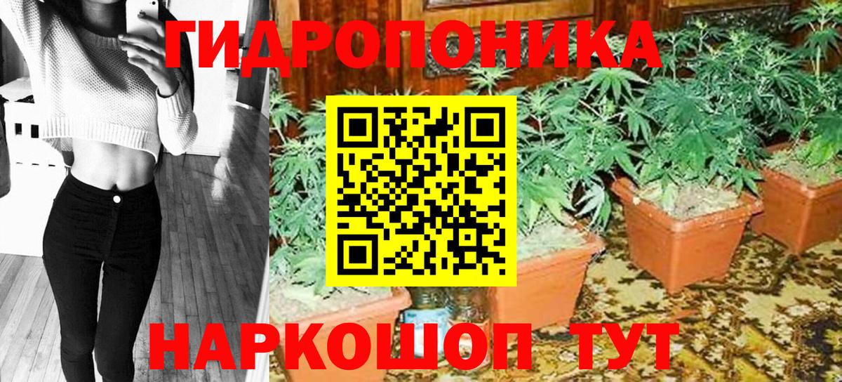 Шишки марихуана VHQ Новозыбков